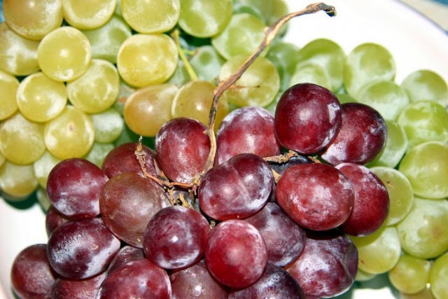 racimos de uva verde y roja